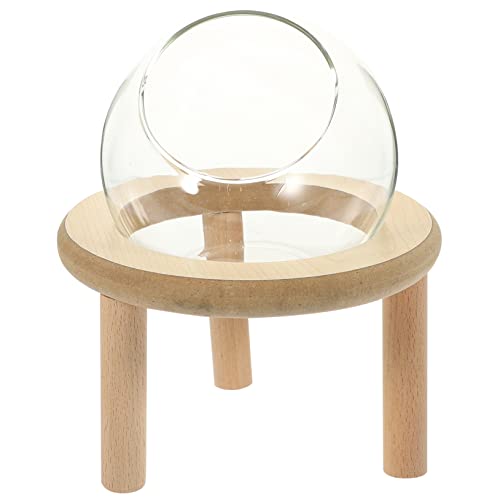 TOYANDONA Transparente Hamsterbadewanne Hamster Sandbad Kompaktes Hamsterbadezimmer mit Zubehör Pflege für Kleine Haustiere Praktischer Badebehälter für Hamster TOYANDONA Transparente Hamsterbadewanne Hamster Sandbad Kompaktes Hamsterbadezimmer mit Zubehör Pflege für Kleine Haustiere Praktischer Badebehälter für Hamster von TOYANDONA