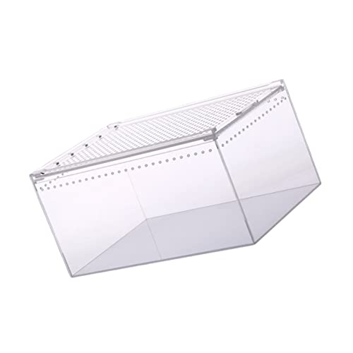 TOYANDONA Transparente Reptilienfütterungsbox aus Wasserdichtes Terrarium für Spinnen Schlangen und Geckos für Zucht und Transport von Kleinen Haustieren TOYANDONA Transparente Reptilienfütterungsbox aus Wasserdichtes Terrarium für Spinnen Schlangen und Geckos für Zucht und Transport von Kleinen Haustieren von TOYANDONA