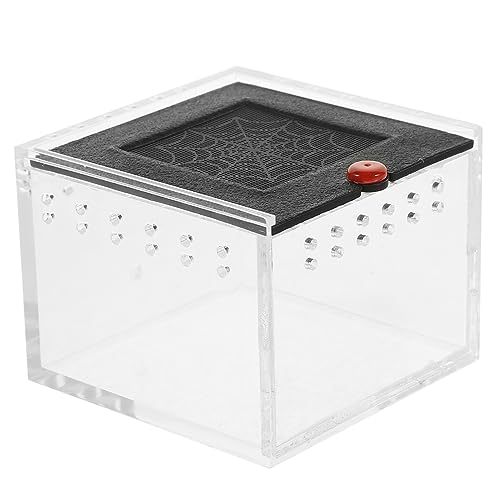 TOYANDONA Transparente Terrarium mit Belüftung Klares Sichtfenster Reptilien Fütterungsbox für Eidechsen Spinnen Skorpione Frösche Geckos und Kleine Wirbellose Einfach zu Reinigen TOYANDONA Transparente Terrarium mit Belüftung Klares Sichtfenster Reptilien Fütterungsbox für Eidechsen Spinnen Skorpione Frösche Geckos und Kleine Wirbellose Einfach zu Reinigen von TOYANDONA