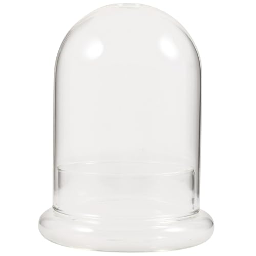 TOYANDONA Transparentes Glas terrarium mit Großem Mikro landschaft DIY Pflanzenflasche Ökologische Dekovase für Moos und Blumen Langlebige Glasglocke für Wohnraumgestaltung TOYANDONA Transparentes Glas terrarium mit Großem Mikro landschaft DIY Pflanzenflasche Ökologische Dekovase für Moos und Blumen Langlebige Glasglocke für Wohnraumgestaltung von TOYANDONA