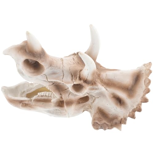 TOYANDONA Triceratops Dekoration Themen Dinosaurier Geburtstagsdekoration Panzerparty Halloween Skelett Dinosaurier Schädel Kleines Hof Aquarium Ornament Künstliches Kunstharz von TOYANDONA