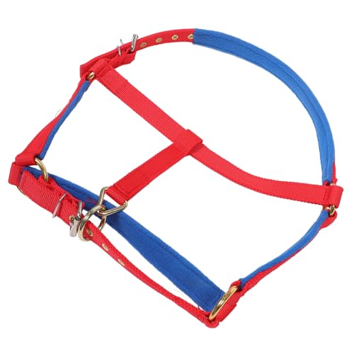 TOYANDONA Verstellbarer Pferdehalfter Leuchtenden Farben Zubehör für Training und Reiten für Amateur und Profisportler Sanftes Gebiss Robust und Zuverlässig Vielseitig Einsetzbar TOYANDONA Verstellbarer Pferdehalfter Leuchtenden Farben Zubehör für Training und Reiten für Amateur und Profisportler Sanftes Gebiss Robust und Zuverlässig Vielseitig Einsetzbar von TOYANDONA