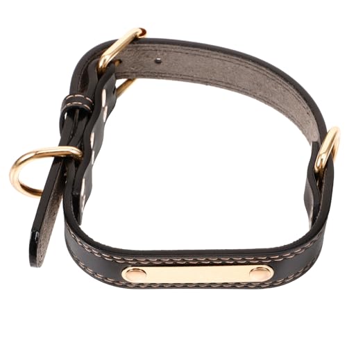 TOYANDONA Verstellbares Gepolstertes Hundehalsband für Welpen Atmungsaktives Hundekragen mit DIY Gravur Sicherer Sitz für Kleine Hunde und Katzen Robust und Komfortabel TOYANDONA Verstellbares Gepolstertes Hundehalsband für Welpen Atmungsaktives Hundekragen mit DIY Gravur Sicherer Sitz für Kleine Hunde und Katzen Robust und Komfortabel von TOYANDONA
