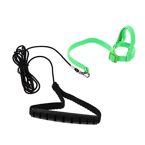 TOYANDONA Vogel-Release-Seil Träger Vogelkäfige Seil Leine Vogelleine Seil Trainingsseil Für Papageien Vogelbarsch Papageienkäfig Wellensittich Barsch Vogelflugleine Green Emulsion von TOYANDONA