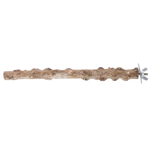 TOYANDONA Vogel Papagei Barsch Stehen Holzstange Für Sittiche Natürliche Vogelkrallen Schleifstange 20cm Spielzeug Für Käfige Geeignet Für Papageien Und Nymphensittiche von TOYANDONA