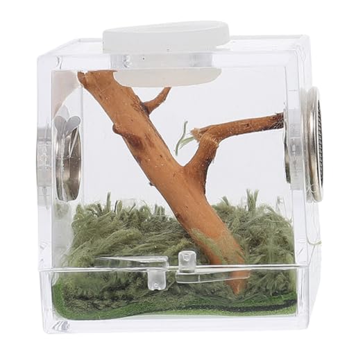 TOYANDONA Spinnenfütterungsbox Aus Kunststoff Transparent Für Springspinnen Insekten Skorpione Mit Atemloch Zuchtbehälter Für Reptilien Futterbox Für Haustiere von TOYANDONA