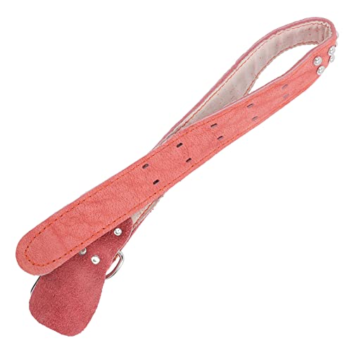 TOYANDONA Welpenhalsband Modisches Dekoratives Hundehalsband Bequeme Passform Für Welpen Und Katzen Hautfreundlich von TOYANDONA