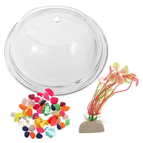 Wandmontierter Blumenbehälter für Aquarienpflanzen Transparenter Goldfischtank Vielseitige Dekoration für Einfache und Pflege für Pflanzenliebhaber von TOYANDONA