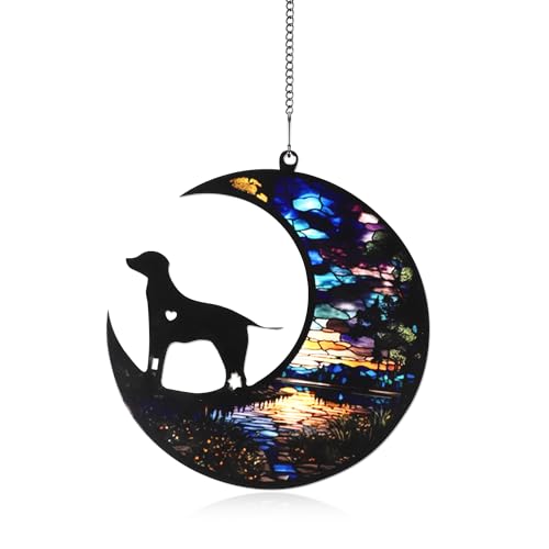 TOYMIS Hunde Gedenk Sonnenfänger, Buntglas Lichtfänger mit Seil und Kette Hunde Erinnerungsgeschenke für Hundeliebhaber zum Aufhängen an Fenstern Türen und Wänden von TOYMIS