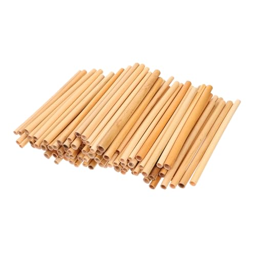 TOYZFRIENDY 100 Stück Natürliche Reed Bee Tubes Wiederbefüllbare Nisthilfen für Wildbienen Leicht und Langlebig Geeignet für Bienenhäuser und Mauerbienen TOYZFRIENDY 100 Stück Natürliche Reed Bee Tubes Wiederbefüllbare Nisthilfen für Wildbienen Leicht und Langlebig Geeignet für Bienenhäuser und Mauerbienen von TOYZFRIENDY