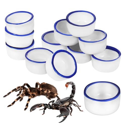 TOYZFRIENDY 12 Stück Teiliges Kleines Reptilien Trinkbecken aus Hochwertiger Keramik Mini Wassernapf und Futterschale für Kleine Spinnen Skorpione und Terrarientiere Leicht Glatt Einfach zu TOYZFRIENDY 12 Stück Teiliges Kleines Reptilien Trinkbecken aus Hochwertiger Keramik Mini Wassernapf und Futterschale für Kleine Spinnen Skorpione und Terrarientiere Leicht Glatt Einfach zu von TOYZFRIENDY
