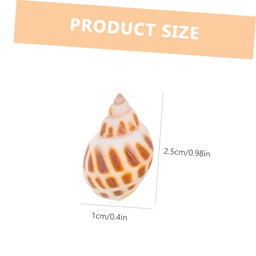 TOYZFRIENDY 2 Boxen Natürliche Aquarium Deko Meeresmuscheln DIY Füllmaterial für Fischbecken Realistische Terrarium Ornamente Petfreundlich Schadstofffrei für Vase und Aquariengestaltung von TOYZFRIENDY