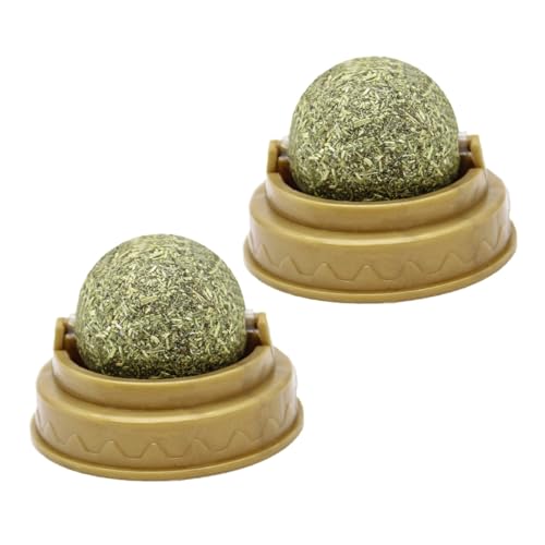 TOYZFRIENDY 2 Stück Katzenminze Ball mit Mintgeschmack Fördert Verdauung und Zahnpflege Sicherer Langlebiger Katzenspielzeug Snack für Katzen an Glatten Oberflächen Interaktives Kauspielzeug von TOYZFRIENDY
