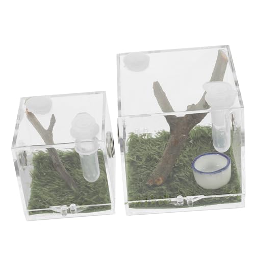 TOYZFRIENDY 2 Stück Transparente Springspinne Zuchtbox mit Feuchtigkeitsregler Stabile Insekten und Reptilienaufbewahrung Kompakt und Langlebig für Kleine Spinnen Schnecken und Geckos von TOYZFRIENDY