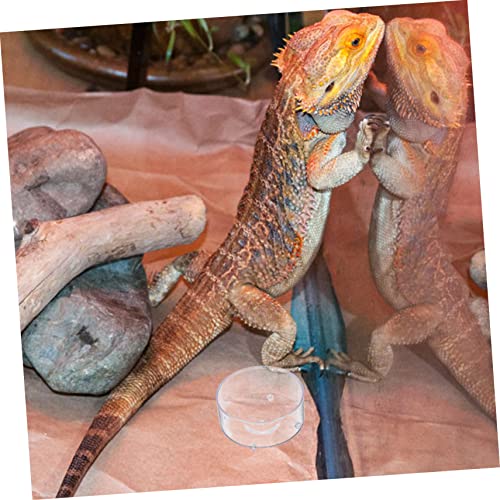 TOYZFRIENDY 30 Stück Teiliges Transparentes Reptilien Futternapf aus rutschfest Vielseitig Einsetzbar als Wasserschale und für Gecko Schildkröte und Andere Terrarientiere von TOYZFRIENDY