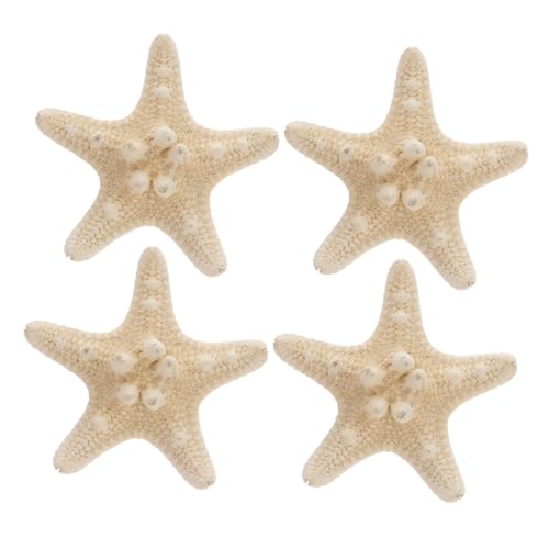 TOYZFRIENDY 4 Stück Natürliche Seesterne DIY Strand Deko Echte Flache Meeressterne aus Naturmaterial für Wohnraum Akzent Basteln und Küsten Wohnaccessoires von TOYZFRIENDY