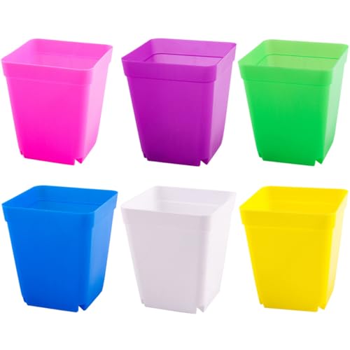 TOYZFRIENDY 48Stücke Teiliges Bunte Kunststoff Pflanzentöpfe Quadratische Blumentöpfe für Blumen Kräuter und Sukkulenten für Kindergarten Innen und Außenbereich TOYZFRIENDY 48Stücke Teiliges Bunte Kunststoff Pflanzentöpfe Quadratische Blumentöpfe für Blumen Kräuter und Sukkulenten für Kindergarten Innen und Außenbereich von TOYZFRIENDY