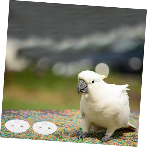 TOYZFRIENDY 5 Stück Teiliges Belüftungsöffnungen für Vogelbrutkasten Langlebige Ersatzteile für Brutkasten Lüftungssystem Kompatibel mit Papageien und Wellensittich Nistkästen Einfache und von TOYZFRIENDY