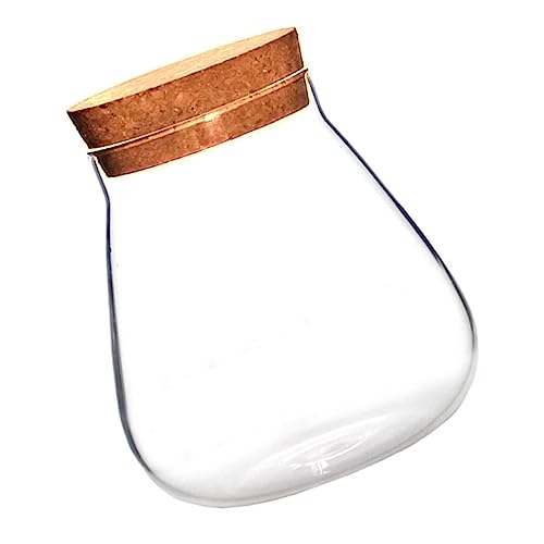 TOYZFRIENDY Glasvase mit Korkverschluss Micro Landscape Terrarium Candy Jar Vielseitiger Display Pot für Sukkulenten Moos Kleine Pflanzen Dekorativer Aufbewahrungsbehälter für Zuhause und von TOYZFRIENDY