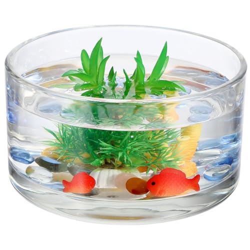 TOYZFRIENDY Große Glasvase Durchsichtige Runde Vase für Hydrokultur und Zimmerpflanzen Multifunktionales Terrarium für Zuhause Dekoratives Blumengefäß für Glücksbambus und Wurzeln TOYZFRIENDY Große Glasvase Durchsichtige Runde Vase für Hydrokultur und Zimmerpflanzen Multifunktionales Terrarium für Zuhause Dekoratives Blumengefäß für Glücksbambus und Wurzeln von TOYZFRIENDY