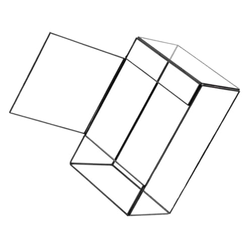 TOYZFRIENDY Handgefertigtes Geometrisches Glas Terrarium Schwarz Kompakte Multifunktionaler Pflanzentopf für Moos und Sukkulenten DIY Mini Ökosystem für Wohnzimmer und Bürodekoration von TOYZFRIENDY