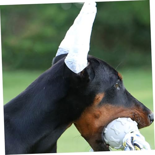 TOYZFRIENDY Hund Ohrstützen Klebeband Weiche Schaumstoff ohrstäbe zur Sicheren Ohrenkorrektur Langlebige Hund Ohrstütze für Aufrechte Ohren bei Welpen und Dobermann von TOYZFRIENDY