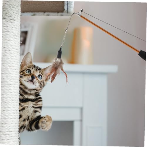 TOYZFRIENDY Interaktive Ausziehbare Katzenangel mit Schmuckfeder Leichtes Katzenspielzeug für Bewegung und Fitness Fördert Aktives und Gesundes Katzenverhalten von TOYZFRIENDY