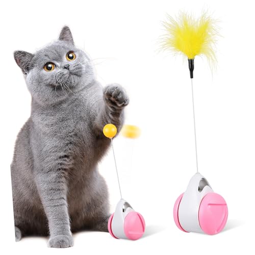TOYZFRIENDY Interaktives Katzenspielzeug Balance Wagen für Drinnen Fördert Koordination Sicherer Kunststoff Einfache Bedienung Unterhaltsam für Katzen und Kätzchen von TOYZFRIENDY