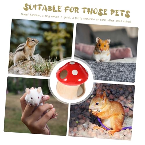 TOYZFRIENDY Keramik Hamsterhaus Pilzförmig Kühles Versteck und Schlafnest für Zwerghamster Chinchillas Kleintiere Kleines Hamsterhaus Haustier Nest TOYZFRIENDY Keramik Hamsterhaus Pilzförmig Kühles Versteck und Schlafnest für Zwerghamster Chinchillas Kleintiere Kleines Hamsterhaus Haustier Nest von TOYZFRIENDY