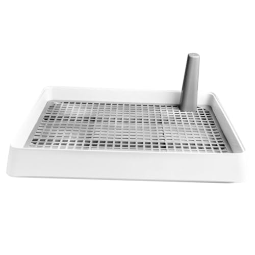 TOYZFRIENDY Kleines Hundeklo mit Spritzschutz Waschbar und Tragbar Trainings Toilette für Welpen und Kleine Hunde Fördert Natürliche Harngewohnheiten Praktische Haustier Toilette für Drinnen TOYZFRIENDY Kleines Hundeklo mit Spritzschutz Waschbar und Tragbar Trainings Toilette für Welpen und Kleine Hunde Fördert Natürliche Harngewohnheiten Praktische Haustier Toilette für Drinnen von TOYZFRIENDY