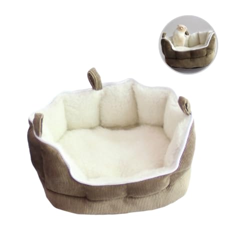 TOYZFRIENDY Kuscheliges Kleines Haustier Schlafsofa aus Weichem Stoff Ferret Bed und Versteck Warmes Hängemattenhaus für Meerschweinchen Kaninchen Hamster und Kleine Nagetiere Kaffee Farbe TOYZFRIENDY Kuscheliges Kleines Haustier Schlafsofa aus Weichem Stoff Ferret Bed und Versteck Warmes Hängemattenhaus für Meerschweinchen Kaninchen Hamster und Kleine Nagetiere Kaffee Farbe von TOYZFRIENDY