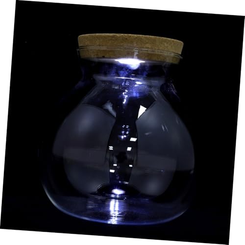TOYZFRIENDY LED Glasflasche mit LED Licht Transparentes DIY Mikrolandschafts Terrarium Ökologisches Pflanzgefäß Aquarium für Pflanzen und Kleine Fische Kompakte Dekoration für Zuhause TOYZFRIENDY LED Glasflasche mit LED Licht Transparentes DIY Mikrolandschafts Terrarium Ökologisches Pflanzgefäß Aquarium für Pflanzen und Kleine Fische Kompakte Dekoration für Zuhause von TOYZFRIENDY
