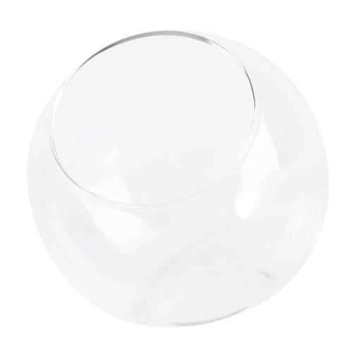 TOYZFRIENDY Mini Glasflasche Øcm für DIY Mikro Landschaft Ökologisches Pflanzgefäß Kleines Glas Terrarium für Sukkulenten Wohn Bürodekoration Handliche Glasvase für Kreative Gestaltung von TOYZFRIENDY