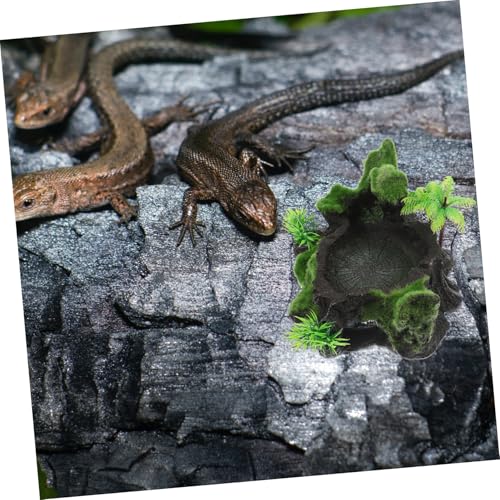 TOYZFRIENDY Natürlicher Reptilien futternapf aus Langlebigem Harz Hitzebeständig Lebensechte Wasserschale für Eidechsen Schildkröten und Kleine Reptilien Dekoratives Terrarienzubehör für TOYZFRIENDY Natürlicher Reptilien futternapf aus Langlebigem Harz Hitzebeständig Lebensechte Wasserschale für Eidechsen Schildkröten und Kleine Reptilien Dekoratives Terrarienzubehör für von TOYZFRIENDY