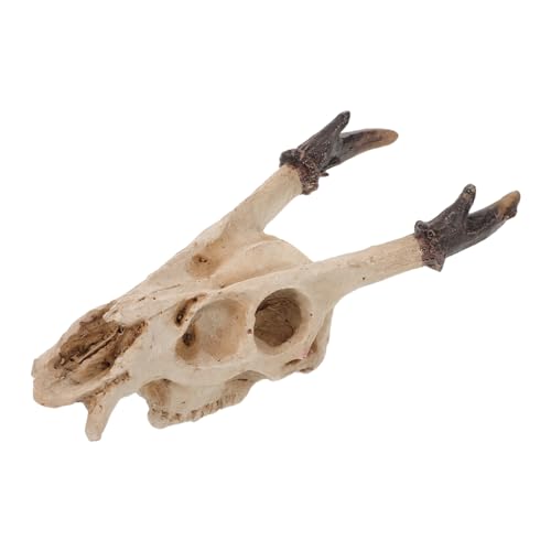 TOYZFRIENDY Ornamente Für Die Von Haustieren Dekoration Zubehör Für Reptilienbecken Totenkopf Lebensraum Für Schlangen Reptilienhöhle Reptilienversteck Zubehör TOYZFRIENDY Ornamente Für Die Von Haustieren Dekoration Zubehör Für Reptilienbecken Totenkopf Lebensraum Für Schlangen Reptilienhöhle Reptilienversteck Zubehör von TOYZFRIENDY
