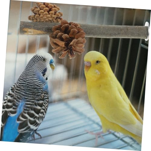 TOYZFRIENDY Papageien Holz Sitzstange mit Kauspielzeug und Zapfen Langlebiger Vogelkäfig Kletter und Beschäftigungsperch für Wellensittiche und Kleine Vögel Spielerischer Krallen Schleifstab von TOYZFRIENDY