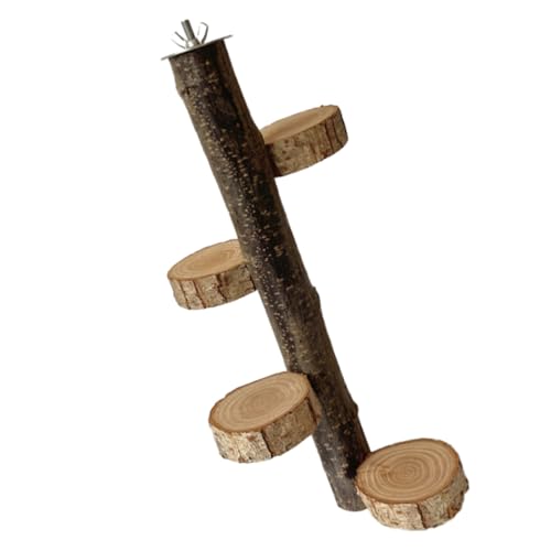 TOYZFRIENDY Papageien Sitzstange aus Holz Vogelkäfig Kletterplattform Stabiles Vogelspielzeug für Wellensittiche und Kleine Vögel Natürliche Holzstange als Krallenfeile Interaktives TOYZFRIENDY Papageien Sitzstange aus Holz Vogelkäfig Kletterplattform Stabiles Vogelspielzeug für Wellensittiche und Kleine Vögel Natürliche Holzstange als Krallenfeile Interaktives von TOYZFRIENDY