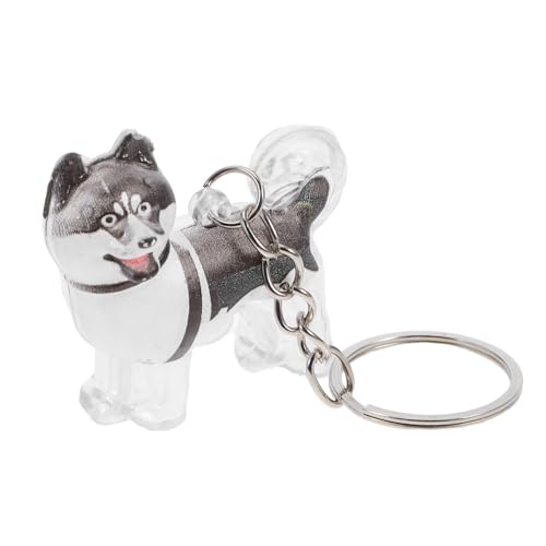 TOYZFRIENDY Pet Hair Memorial Box Schlüsselanhänger Transparenter Hundememoriam Behälter mit Fortschrittlicher Versiegelung Kompakter Haustierhaarsammler für Hundehaar Aufbewahrung Capsule von TOYZFRIENDY