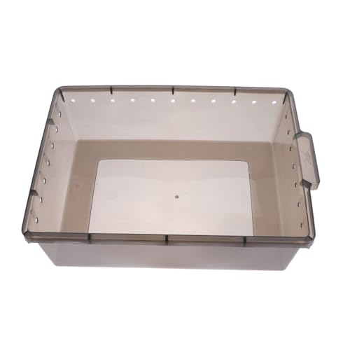 TOYZFRIENDY Reptilien Fütterungsbox aus Transparentem Kunststoff mit Belüftungslöchern Langlebig Wetterbeständig Atmungsaktiv für Reptilien Frösche und Kleine Haustiere Praktische Zuchtbox von TOYZFRIENDY