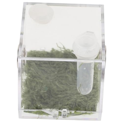 TOYZFRIENDY Spinnen aufzuchtbox mit Belüftung Transparentes Kleintier Terrarium für Springspinnen und Reptilien Leichtes Robustes Insekten zuchtbehälter für Beobachtung und Pflege TOYZFRIENDY Spinnen aufzuchtbox mit Belüftung Transparentes Kleintier Terrarium für Springspinnen und Reptilien Leichtes Robustes Insekten zuchtbehälter für Beobachtung und Pflege von TOYZFRIENDY