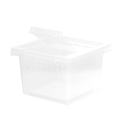 TOYZFRIENDY Transparente Reptilienfütterungsbox Kunststoff Terrarium mit Belüftungslöchern für Spinnen Eidechsen Schildkröten und Kleine Robuste Insektenaufzuchtbox für Haustiere von TOYZFRIENDY