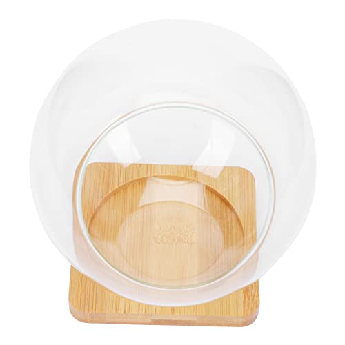 TOYZFRIENDY Transparentes Micro Landschafts Teilig Multifunktionale Glasflasche mit Schrägem Öffnungsdesign als Sukkulenten Topf Terrarium Flasche und Dekorative Vase für Zuhause und Büro von TOYZFRIENDY