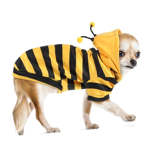 TOYZFRIENDY Warmer Haustier Hoodie Bienenkostüm mit Dünnem Fleece Angenehmes Hund Katzenkostüm XL Süßes Halloween Winter Outfit für Kleine bis Mittelgroße Haustiere von TOYZFRIENDY