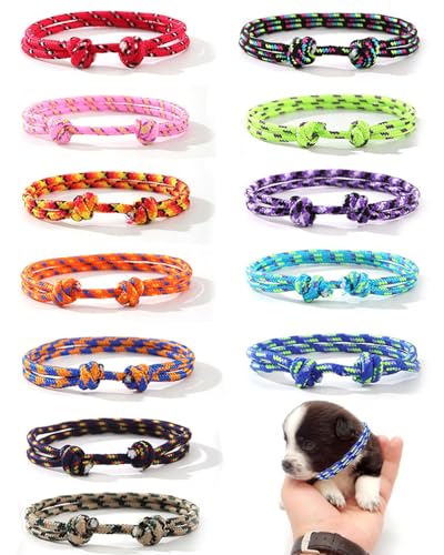 TOZBLEU - 12 pcs welpenhalsband,Welpen ID Halsbänder Welpenhalsbänder Einstellbar Soft Welpen Halsbänder mit Biegeringen für welpen halsbänder,Neugeborene Welpen Kätzchen,12-20cm TOZBLEU - 12 pcs welpenhalsband,Welpen ID Halsbänder Welpenhalsbänder Einstellbar Soft Welpen Halsbänder mit Biegeringen für welpen halsbänder,Neugeborene Welpen Kätzchen,12-20cm von TOZBLEU