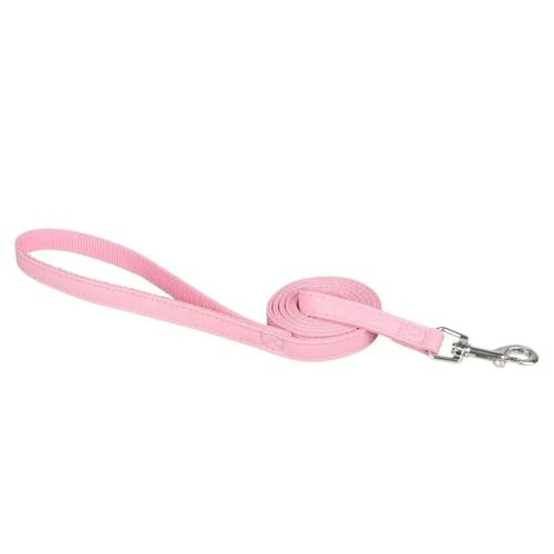 Bissfestes Hundehalsband mit Spikes und Nieten für kleine, mittelgroße und große Hunde, sportlich gepolstert, für Bulldoggen, Mops, Welpen, große Hunde, Haustierbedarf von TPIONEER