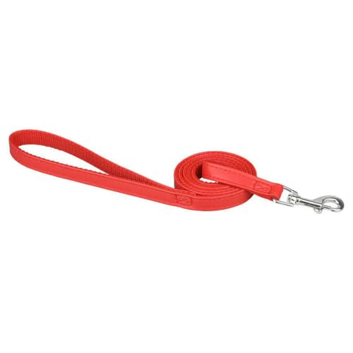 Bissfestes Hundehalsband mit Spikes und Nieten für kleine, mittelgroße und große Hunde, sportlich gepolstert, für Bulldoggen, Mops, Welpen, große Hunde, Haustierbedarf von TPIONEER