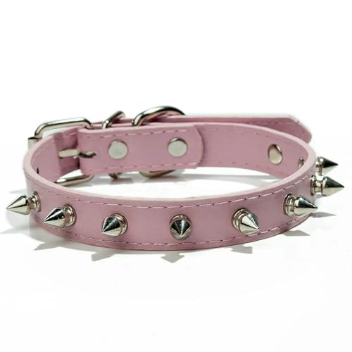 TPIONEER Einreihiges Hundehalsband aus Leder mit Nieten, verstellbares Anti-Biss-Halsband mit Spikes für Welpen und Katzen Kleiner Rassen TPIONEER Einreihiges Hundehalsband aus Leder mit Nieten, verstellbares Anti-Biss-Halsband mit Spikes für Welpen und Katzen Kleiner Rassen von TPIONEER
