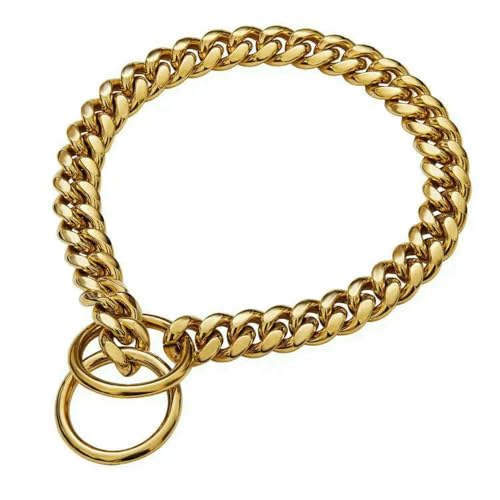 TPIONEER Goldfarbenes Hundehalsband Lea Edelstahl Enaved Hundekette Golden Pet Mittelgroße bis große Hunde P Kette Walking Dogs TPIONEER Goldfarbenes Hundehalsband Lea Edelstahl Enaved Hundekette Golden Pet Mittelgroße bis große Hunde P Kette Walking Dogs von TPIONEER