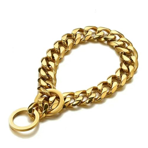 TPIONEER Goldfarbenes Hundehalsband Lea Edelstahl Enaved Hundekette Golden Pet Mittelgroße bis große Hunde P Kette Walking Dogs TPIONEER Goldfarbenes Hundehalsband Lea Edelstahl Enaved Hundekette Golden Pet Mittelgroße bis große Hunde P Kette Walking Dogs von TPIONEER