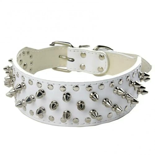 TPIONEER Hundehalsband aus Leder mit Metallnieten, luxuriöses Traktionsleinen-Set mit coolen Spikes für Hunde großer Rassen, bruchsicheres Design von TPIONEER